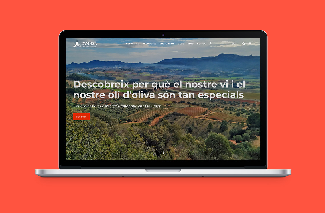 Proyectos | Cooperativa de Gandesa